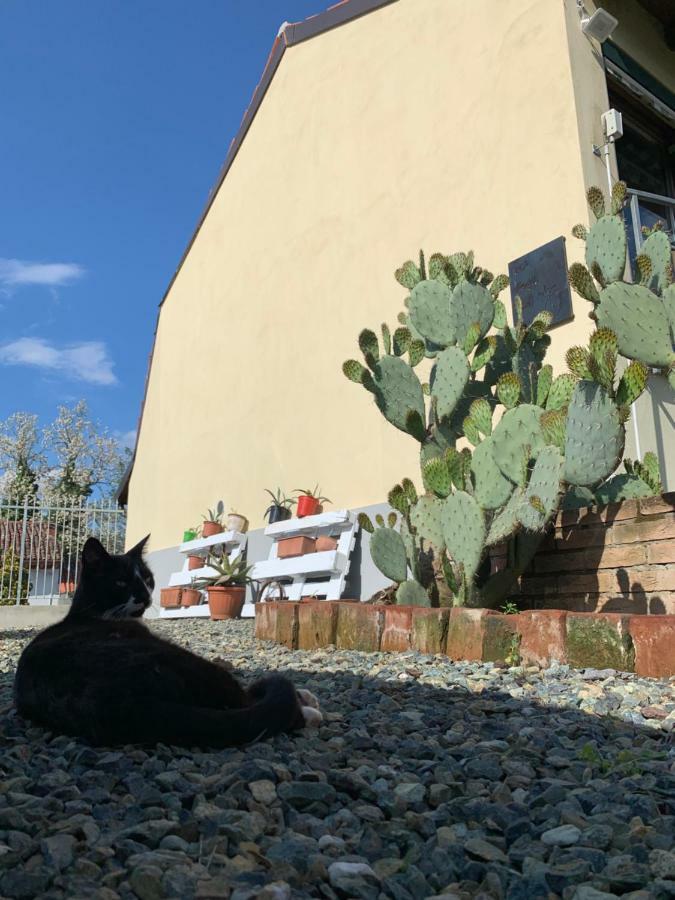 Ca' Degli Ovi B&B 발렌자 외부 사진